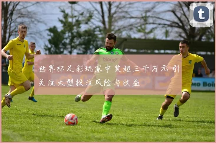 世界杯足彩玩家中奖超三千万元 引关注大型投注风险与收益