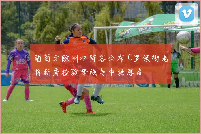 葡萄牙欧洲杯阵容公布 C罗领衔老将新秀检验锋线与中场厚度