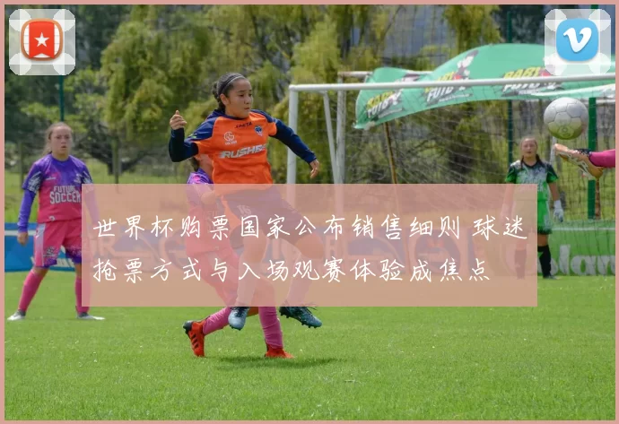 世界杯购票国家公布销售细则 球迷抢票方式与入场观赛体验成焦点